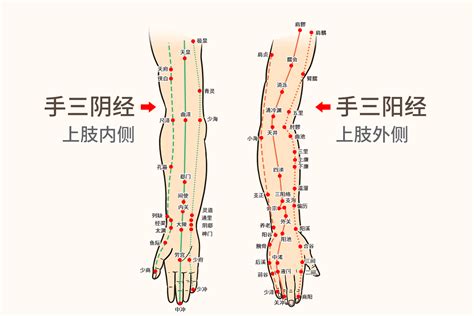 按摩五行|想自己试着按摩经络穴位，怎么样才能找准穴位？关于经络、阴阳。